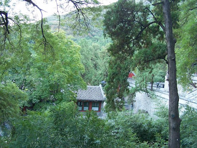 青葱