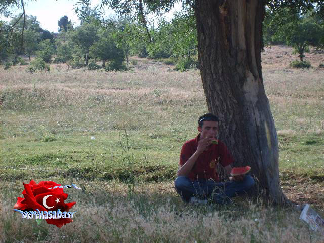 dkn etkinlikleir