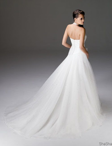 Backless Wedding Gown Ideas