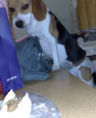 [Food]包的不是黑貓肉的超好吃黑貓包！ - 阿祥的網路筆記本