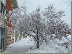 Cross Country Skiin 2008 013