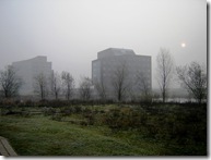 March Spring Morning Fog 4