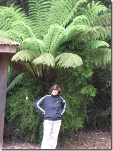 2007-01-24 Tasmania 118