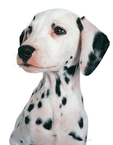 [達人]真正讓人心服口服的AI達人… - 阿祥的網路筆記本