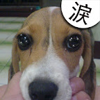 [DOG]豆豆系列超卡哇伊MSN圖！ - 阿祥的網路筆記本