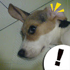 [DOG]豆豆系列超卡哇伊MSN圖！ - 阿祥的網路筆記本