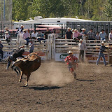 Rodeo