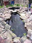 External Image