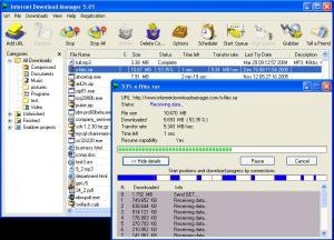 Internet Download Manager