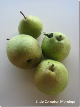 Pears 1 copy