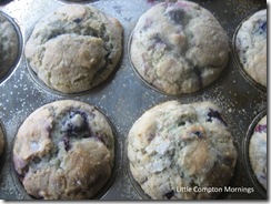 blueberry froz muffin cooked3 copy