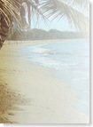 beach1