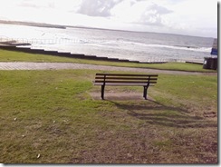 Photo0113