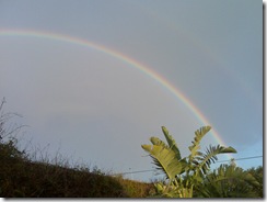 Image032