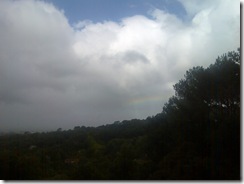 A rainbow brightens your day