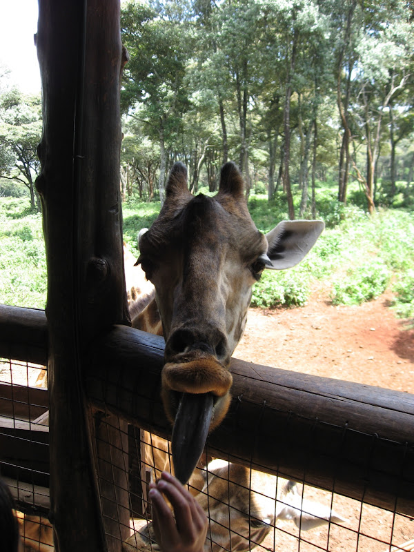 20070519_GiraffeCenter May 2007_088.jpg