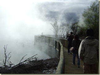 rotorua05