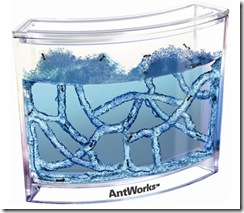 antworks