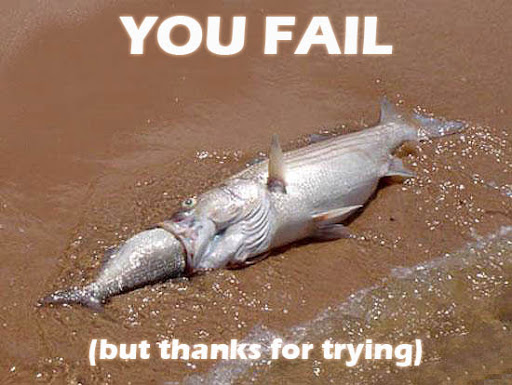 https://lh4.google.com/pedro.vera/R1MdXmbyLQI/AAAAAAAAAqw/67FNImaZyp4/YouFail.jpg?imgmax=512