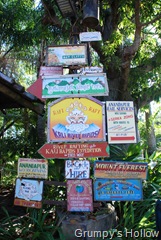 Signage in Asia at Animal Kingdom