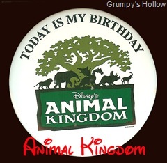 Animal Kingdom Birthday Button