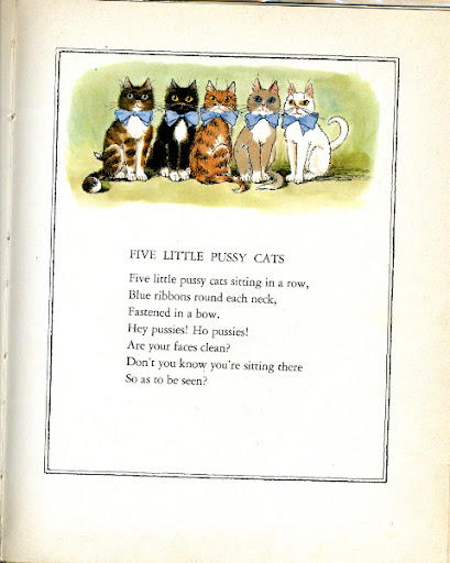 mittens kittens 5 cats.jpg pictures of kittens and cats. mittens kittens 5 cats.jpg