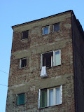 DSCI3830.JPG