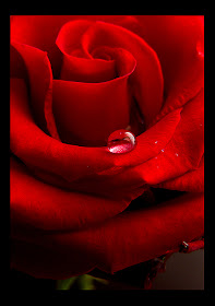i love you mom happy birthday. i love you mom happy birthday.