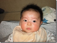 コピー ～ KIF_1666