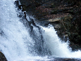 Panther Creek Falls