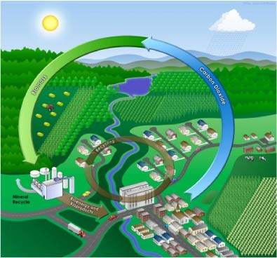 Bioenergy_Cycle.jpg