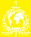sg04-yellow