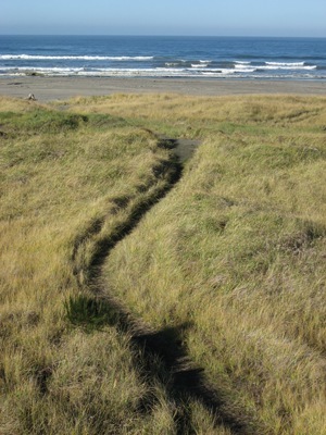 Path to the ocean