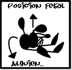 posicion fetal